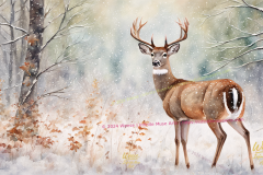 Winter's Sentinel