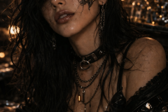 Velvet Circuit