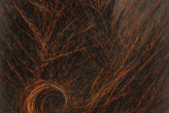 The First Breath of Ash