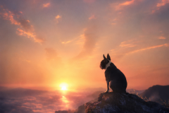 Sentinel of the First Light