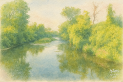 Stillness at Cold Creek