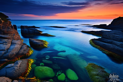 Tideglass Sanctuary