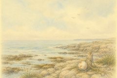 Where-the-Tide-Remembers
